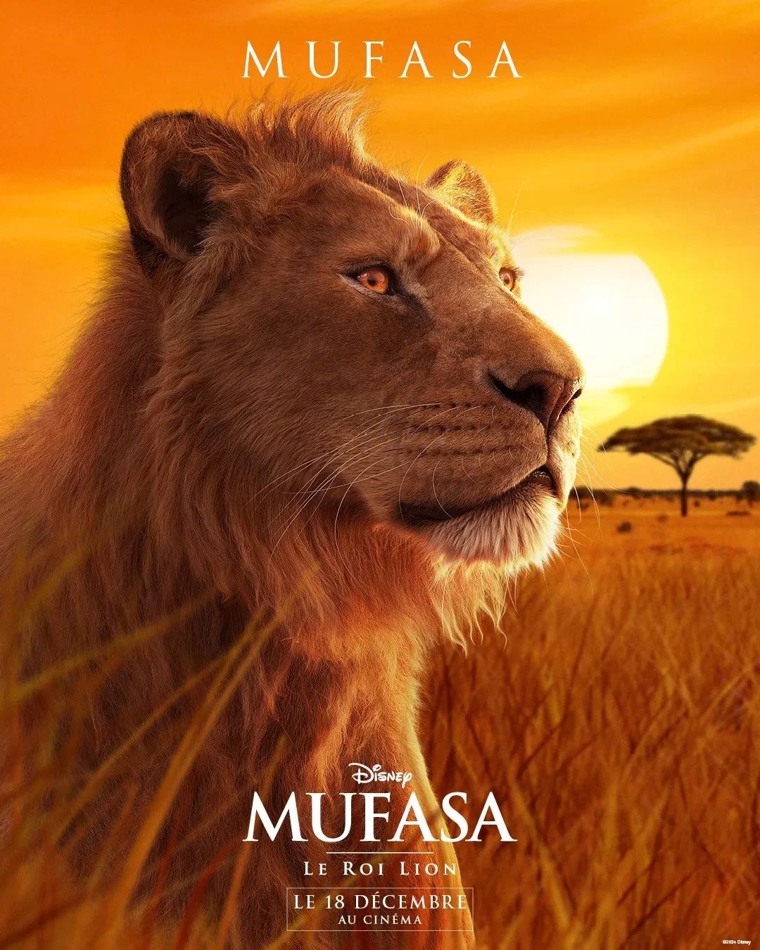 MUFASA: KRÓL LEW (2024) 2D [Dubbing]